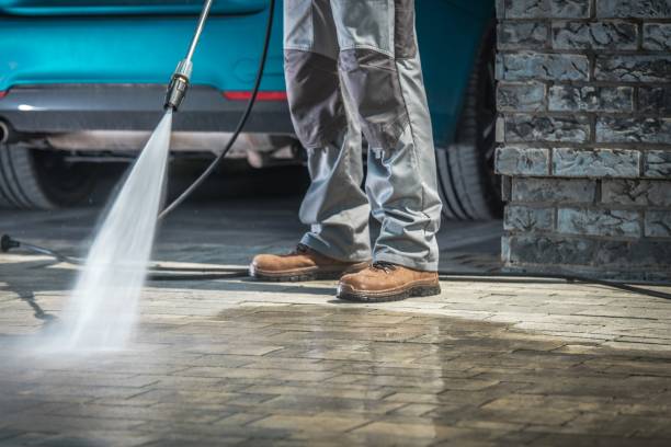 Best Building Exterior Washing  in Glenwood, MN